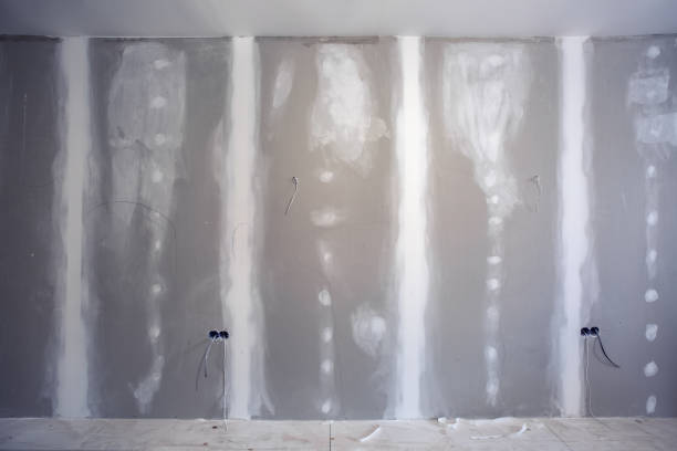 Best Water-Damaged Drywall Repair  in Town And Country, MO